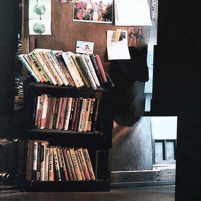 BOOK SHELVES RETROSPECTIVE